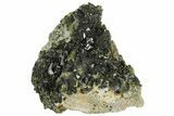 Lustrous, Epidote Crystal Cluster on Actinolite - Pakistan #164843-4